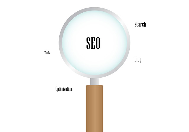 hledání seo